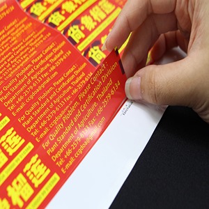 Durian stem stickers printed and ready within 1 day! High durability, custom design, and free nationwide shipping. Perfect for exporters and wholesalers.