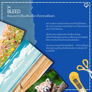 Bleed คืออะไร? ทำไมต้องเผื่อขอบเวลาออกแบบ โปสเตอร์ แผ่นพับ หรือกล่องบรรจุภัณฑ์ หาคำตอบก่อนส่ง ไฟล์พิมพ์จริง
