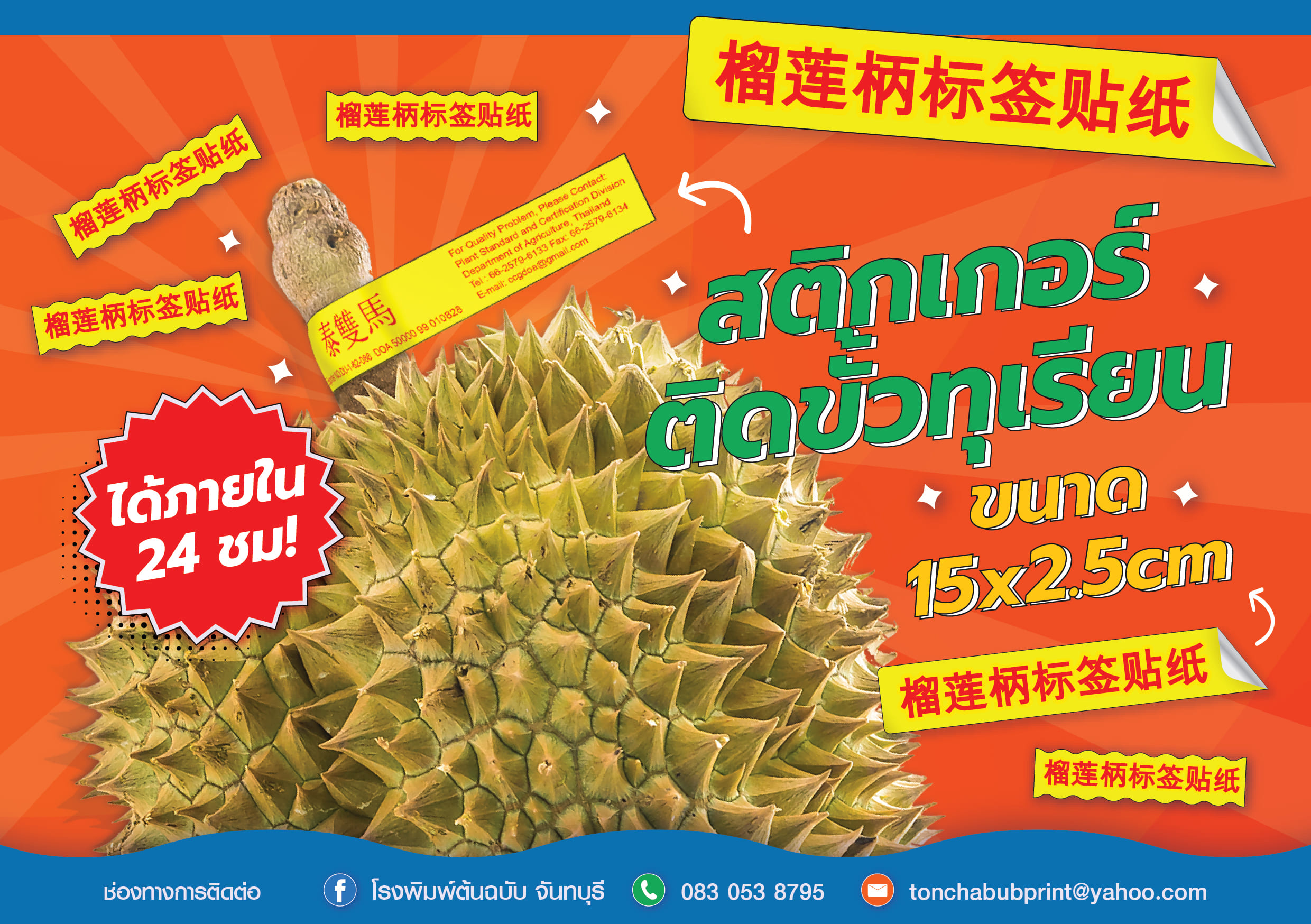 Durian stem stickers – bulk production, guaranteed quality, on-time export delivery