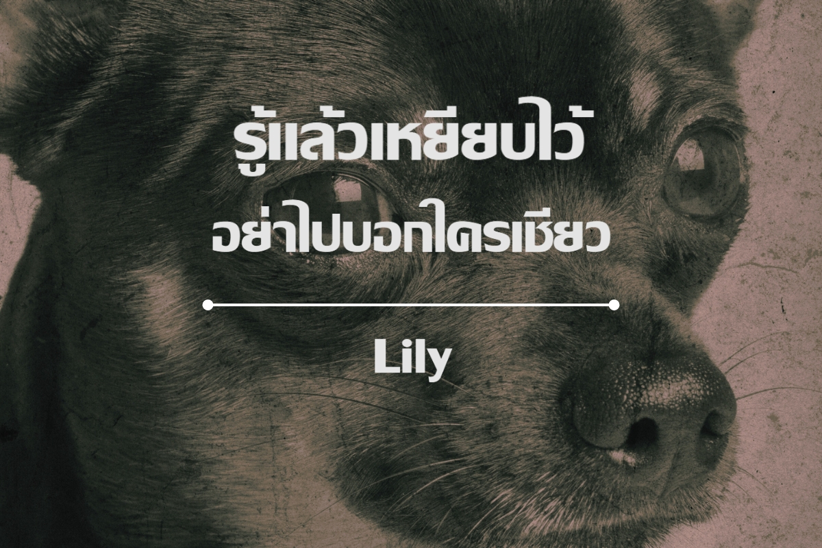 Lily - ฟอนต์ลายมือหวาน ๆ ที่เหมาะกับงานออกแบบแนวโรแมนติกและแบรนด์สินค้าความงาม สไตล์ของตัวอักษรมีความ เป็นผู้หญิงและโรแมนติก ทำให้เหมาะกับแบรนด์แฟชั่นและสินค้าเกี่ยวกับความสวยความงาม ใช้งานได้ทั้งในงานพิมพ์และโฆษณาดิจิทัล ใช้ได้ดีกับ แบรนด์สินค้าความงาม สปา และแคมเปญโฆษณาที่ต้องการความนุ่มนวลและอ่อนโยน