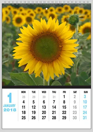 Vertical Appointment Calendar, 13 sheets, twin-wire binding with hanging hole. Each sheet printed in full color on one side. Free layout service. Advertisement can be placed on any sheet. Detailed specifications:  Cover size: 15” × 21”  Inside pages size: 15” × 21”  Paper type: Cover – 160 gsm art card; Inside – 160 gsm art card Includes movable date indicator. Additional cost: 10 THB/set.